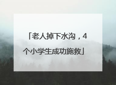老人掉下水沟，4个小学生成功施救