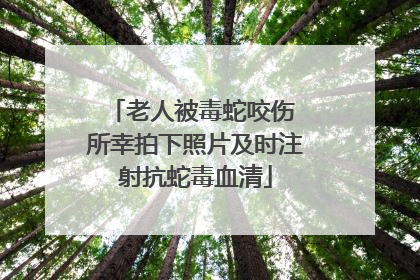 老人被毒蛇咬伤 所幸拍下照片及时注射抗蛇毒血清