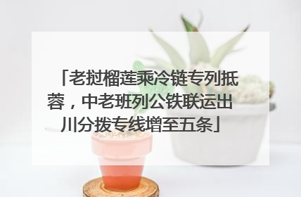 老挝榴莲乘冷链专列抵蓉，中老班列公铁联运出川分拨专线增至五条