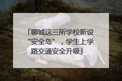 聊城这三所学校新设“安全岛”，学生上学路交通安全升级