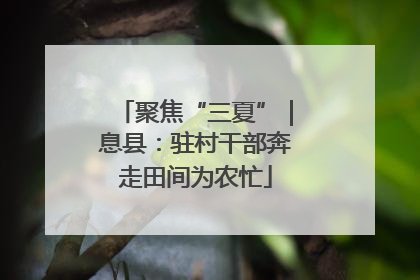 聚焦“三夏”｜息县：驻村干部奔走田间为农忙
