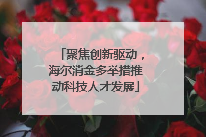 聚焦创新驱动，海尔消金多举措推动科技人才发展