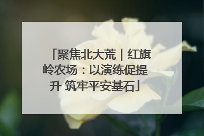 聚焦北大荒｜红旗岭农场：以演练促提升 筑牢平安基石