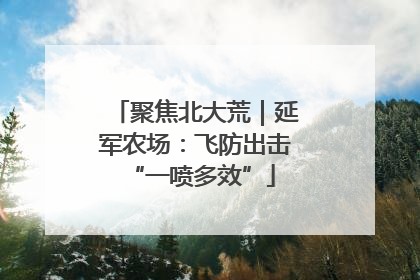 聚焦北大荒｜延军农场：飞防出击 “一喷多效”
