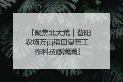 聚焦北大荒｜普阳农场万亩稻田夏管工作科技感满满