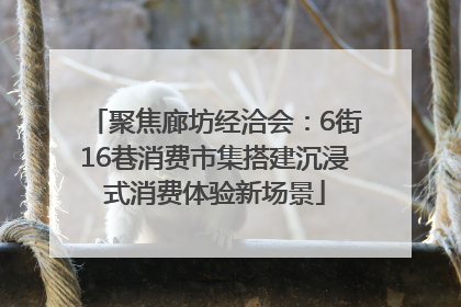 聚焦廊坊经洽会：6街16巷消费市集搭建沉浸式消费体验新场景
