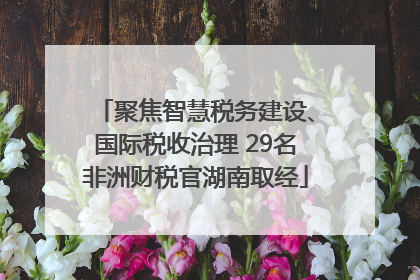 聚焦智慧税务建设、国际税收治理 29名非洲财税官湖南取经