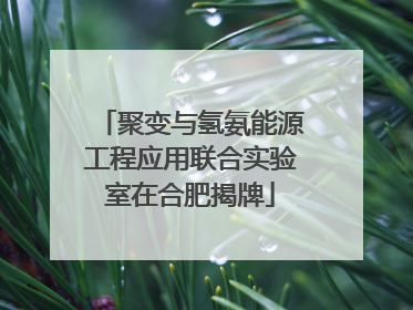 聚变与氢氨能源工程应用联合实验室在合肥揭牌