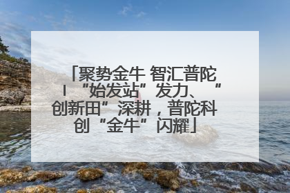 聚势金牛 智汇普陀〡“始发站”发力、“创新田”深耕，普陀科创“金牛”闪耀