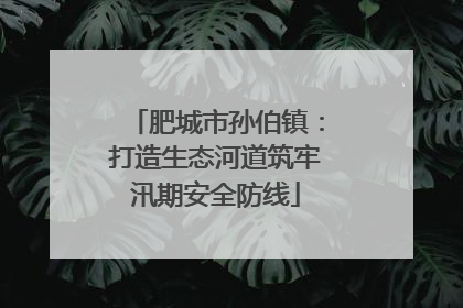 肥城市孙伯镇：打造生态河道筑牢汛期安全防线