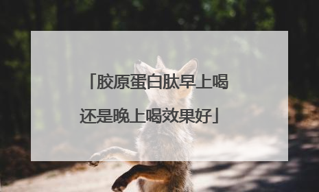 胶原蛋白肽早上喝还是晚上喝效果好