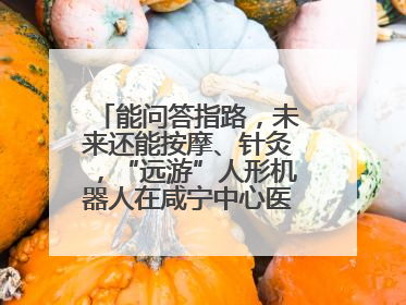 能问答指路，未来还能按摩、针灸，“远游”人形机器人在咸宁中心医院上岗