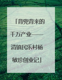 背兜背来的千万产业——清镇民乐村杨敏珍创业记