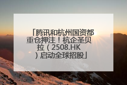 腾讯和杭州国资都重仓押注！杭企圣贝拉（2508.HK）启动全球招股