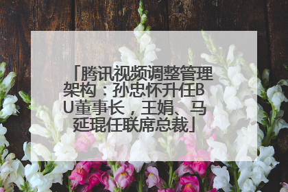 腾讯视频调整管理架构：孙忠怀升任BU董事长，王娟、马延琨任联席总裁