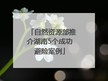 自然资源部推介湖南5个成功避险案例