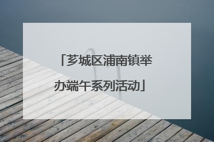 芗城区浦南镇举办端午系列活动