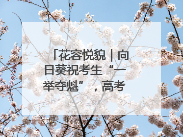 花容悦貌｜向日葵祝考生“一举夺魁”，高考带动鲜花热潮