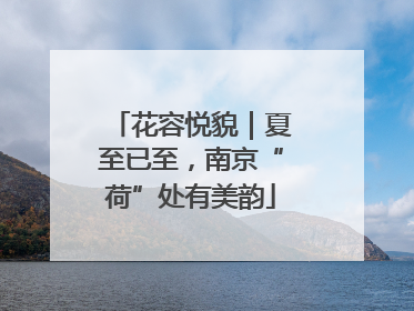 花容悦貌｜夏至已至，南京“荷”处有美韵