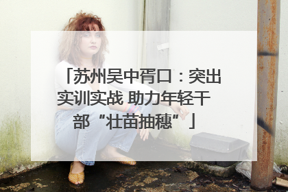 苏州吴中胥口：突出实训实战 助力年轻干部“壮苗抽穗”