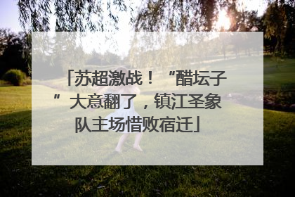 苏超激战！“醋坛子”大意翻了，镇江圣象队主场惜败宿迁