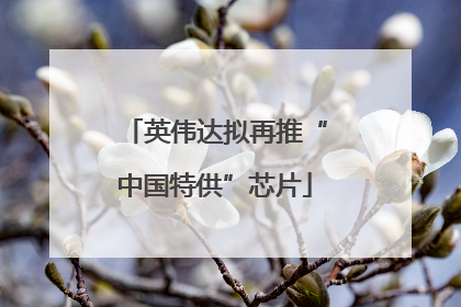 英伟达拟再推“中国特供”芯片