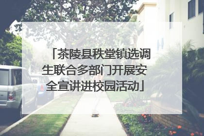 茶陵县秩堂镇选调生联合多部门开展安全宣讲进校园活动