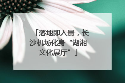 落地即入景，长沙机场化身“湖湘文化展厅”