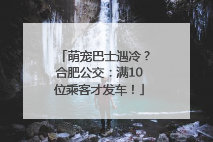萌宠巴士遇冷？合肥公交：满10位乘客才发车！