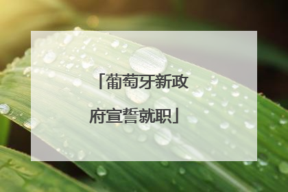 葡萄牙新政府宣誓就职
