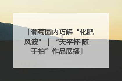 葡萄园内巧解“化肥风波”｜“天平杯·随手拍”作品展播