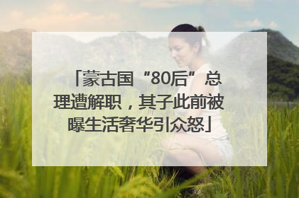 蒙古国“80后”总理遭解职，其子此前被曝生活奢华引众怒