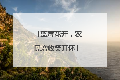 蓝莓花开，农民增收笑开怀