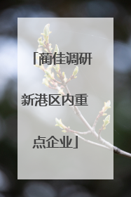 蔺佳调研新港区内重点企业