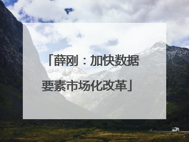 薛刚：加快数据要素市场化改革