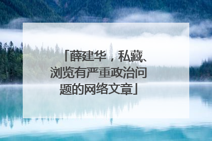 薛建华，私藏、浏览有严重政治问题的网络文章