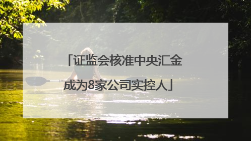 证监会核准中央汇金成为8家公司实控人