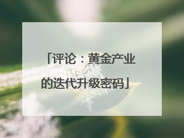 评论：黄金产业的迭代升级密码