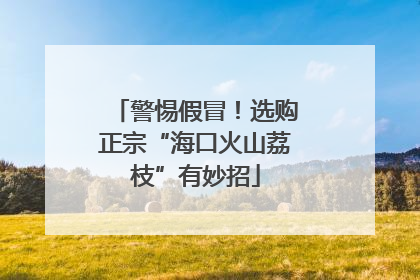 警惕假冒！选购正宗“海口火山荔枝”有妙招