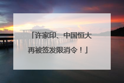 许家印、中国恒大再被签发限消令！