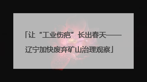让“工业伤疤”长出春天——辽宁加快废弃矿山治理观察