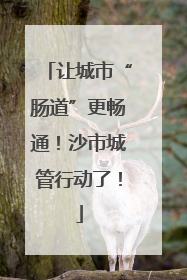 让城市“肠道”更畅通！沙市城管行动了！