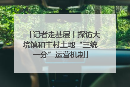 记者走基层丨探访大垸镇和丰村土地“三统一分”运营机制