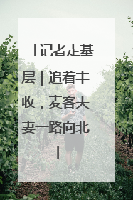 记者走基层｜追着丰收，麦客夫妻一路向北