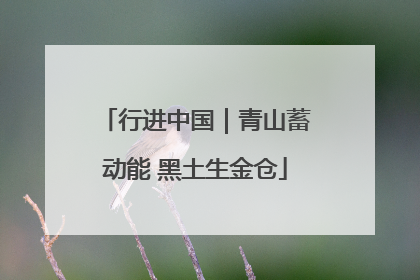 行进中国｜青山蓄动能 黑土生金仓