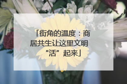 街角的温度：商居共生让这里文明“活”起来