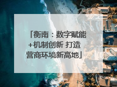 衡南：数字赋能+机制创新 打造营商环境新高地