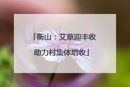 衡山：艾草迎丰收 助力村集体增收