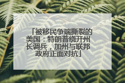 被移民争端撕裂的美国：特朗普绕开州长调兵，加州与联邦政府正面对抗
