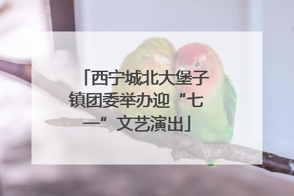 西宁城北大堡子镇团委举办迎“七一”文艺演出